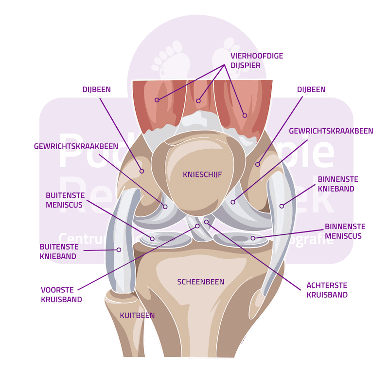 Patellofemoraal Pijnsyndroom Pijn achter knieschijf Podotherapie Reggestreek Rijssen Patellofemoraal Pijnsyndroom Pijn achter knieschijf Podotherapie Reggestreek Rijssen